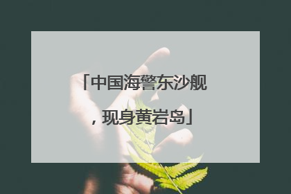 中国海警东沙舰，现身黄岩岛