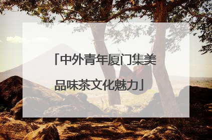 中外青年厦门集美品味茶文化魅力