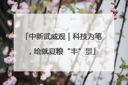 中新武威观｜科技为笔，绘就夏粮“丰”景