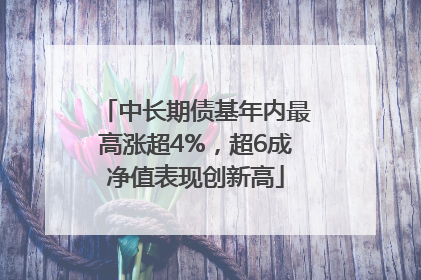 中长期债基年内最高涨超4%，超6成净值表现创新高