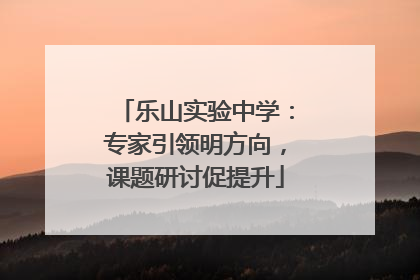 乐山实验中学：专家引领明方向，课题研讨促提升