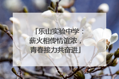 乐山实验中学：薪火相传情谊浓，青春接力共奋进