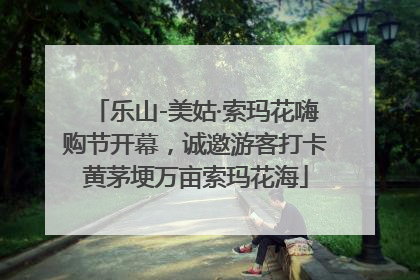 乐山-美姑·索玛花嗨购节开幕，诚邀游客打卡黄茅埂万亩索玛花海