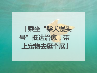 乘坐“柴犬馒头号”抵达治愈，带上宠物去逛个展