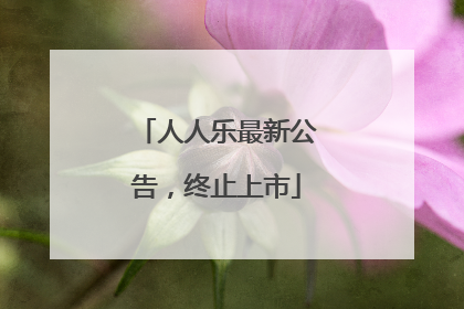 人人乐最新公告，终止上市