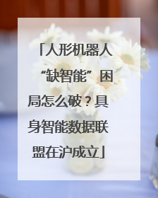 人形机器人“缺智能”困局怎么破？具身智能数据联盟在沪成立