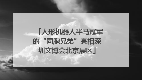人形机器人半马冠军的“同胞兄弟”亮相深圳文博会北京展区