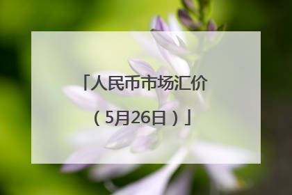 人民币市场汇价（5月26日）