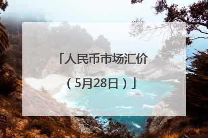 人民币市场汇价（5月28日）