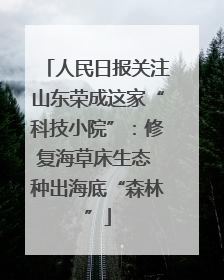 人民日报关注山东荣成这家“科技小院”：修复海草床生态 种出海底“森林”