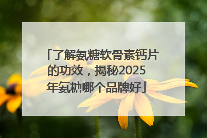 了解氨糖软骨素钙片的功效，揭秘2025年氨糖哪个品牌好