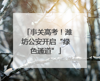 事关高考！潍坊公安开启“绿色通道”