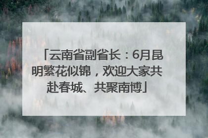 云南省副省长：6月昆明繁花似锦，欢迎大家共赴春城、共聚南博