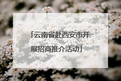 云南省赴西安市开展招商推介活动