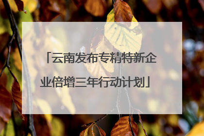 云南发布专精特新企业倍增三年行动计划