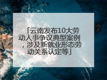云南发布10大劳动人事争议典型案例，涉及新就业形态劳动关系认定等