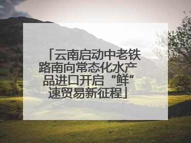 云南启动中老铁路南向常态化水产品进口开启“鲜”速贸易新征程