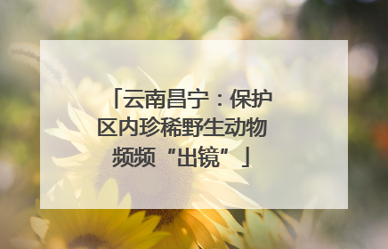 云南昌宁：保护区内珍稀野生动物频频“出镜”