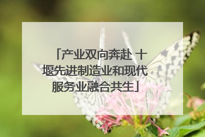 产业双向奔赴 十堰先进制造业和现代服务业融合共生