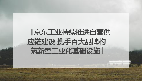 京东工业持续推进自营供应链建设 携手百大品牌构筑新型工业化基础设施