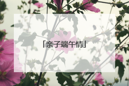 亲子端午情