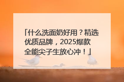 什么洗面奶好用？精选优质品牌，2025爆款全能尖子生放心冲！