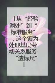 从“经验调处”到“标准服务”，这个镇为处理基层劳动关系服务“造标尺”