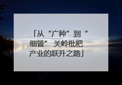 从“广种”到“细管” 关岭枇杷产业的跃升之路
