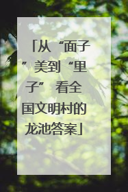 从“面子”美到“里子” 看全国文明村的龙池答案