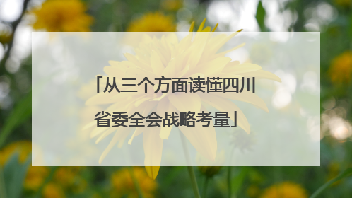 从三个方面读懂四川省委全会战略考量