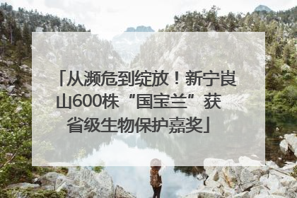 从濒危到绽放！新宁崀山600株“国宝兰”获省级生物保护嘉奖