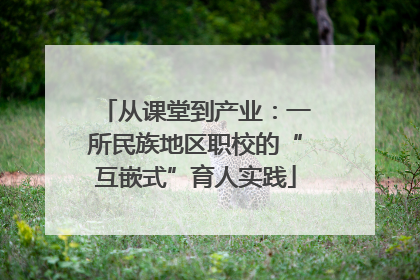 从课堂到产业：一所民族地区职校的“互嵌式”育人实践