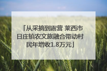 从采摘到露营 莱西市日庄镇农文旅融合带动村民年增收1.8万元