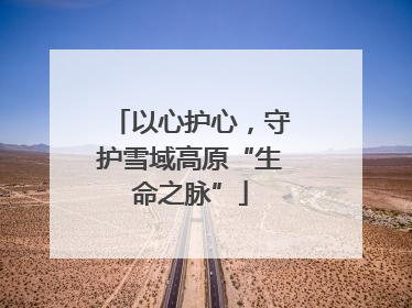 以心护心，守护雪域高原“生命之脉”