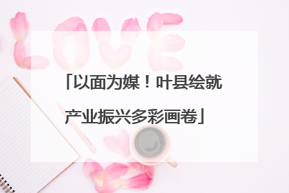 以面为媒！叶县绘就产业振兴多彩画卷