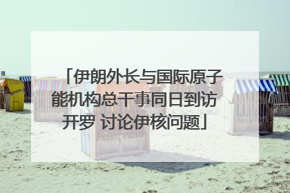 伊朗外长与国际原子能机构总干事同日到访开罗 讨论伊核问题
