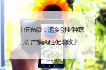 伍光豪：返乡创业种蔬菜 产销两旺促增收