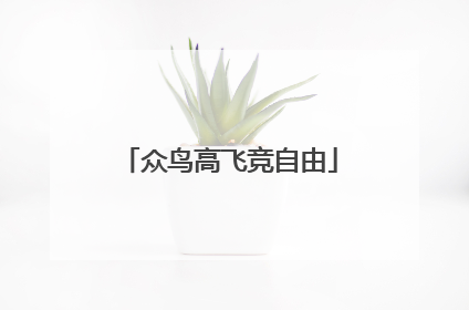 众鸟高飞竞自由