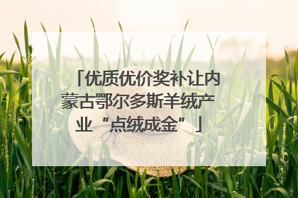 优质优价奖补让内蒙古鄂尔多斯羊绒产业“点绒成金”