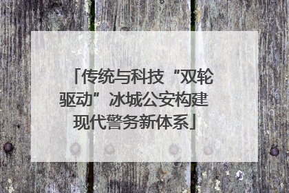 传统与科技“双轮驱动”冰城公安构建现代警务新体系