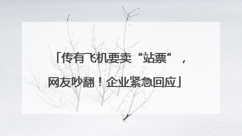 传有飞机要卖“站票”，网友吵翻！企业紧急回应
