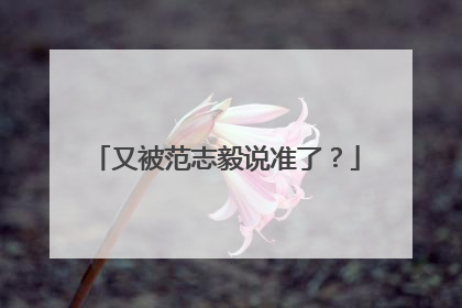 又被范志毅说准了？