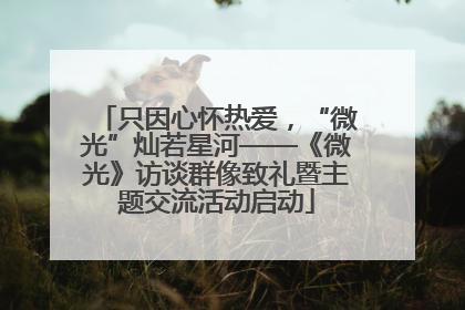 只因心怀热爱，“微光”灿若星河——《微光》访谈群像致礼暨主题交流活动启动