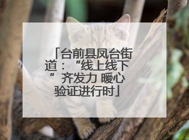 台前县凤台街道：“线上线下”齐发力 暖心验证进行时