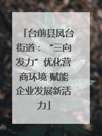 台前县凤台街道：“三向发力”优化营商环境 赋能企业发展新活力