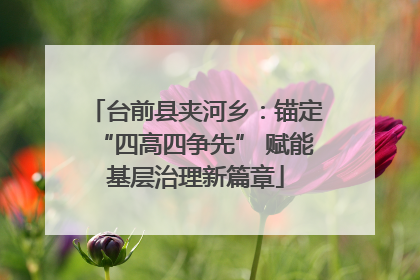 台前县夹河乡：锚定“四高四争先” 赋能基层治理新篇章