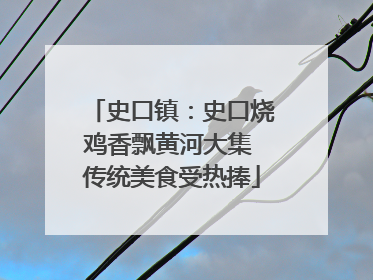 史口镇：史口烧鸡香飘黄河大集 传统美食受热捧
