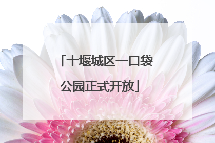 十堰城区一口袋公园正式开放