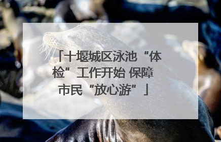 十堰城区泳池“体检”工作开始 保障市民“放心游”