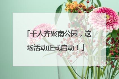 千人齐聚南公园，这场活动正式启动！